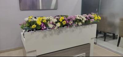 Others image of 2346.0 Sq.ft  Ready to use Office Space for sale in Bandra East for 140000000