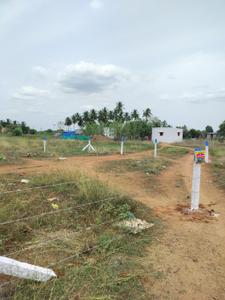 Commercial Plot