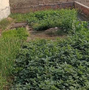 Others image of 100.0 Sq.ft   Commercial Plot for sale in Pilkhuwa for 1500000
