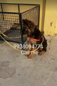 Others image of 1000.0 Sq.ft   Warehouse for rent in Kondapur - Ghatkesar for 10000