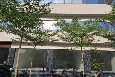 Others image of 527.0 Sq.ft   Shop for rent in Sola for 80000