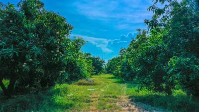 Others image of 4840.0 Sq.ft   Commercial Plot for sale in Chevella for 24000000