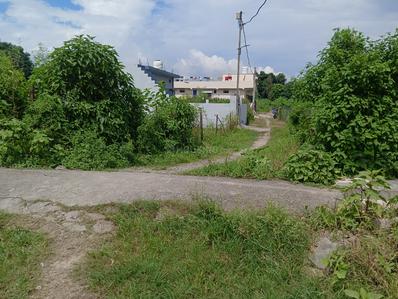 Commercial Plot