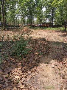 Commercial Plot