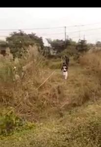 Others image of 8640.0 Sq.ft Commercial Plot for sale in Santragachi for 22500000