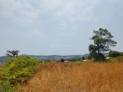 Commercial Plot