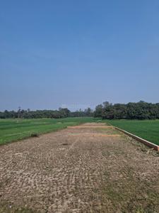Others image of 1500.0 Sq.ft   Commercial Plot for sale in Rajajipuram for 1900000