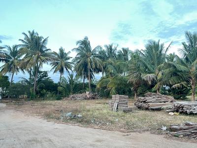 Outside View image of 15000.0 Sq.ft   Commercial Plot for rent in Kaalampalayam for 50000