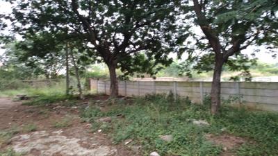 Others image of 258.0 Sq.ft   Commercial Plot for sale in Nallagandla for 41280000