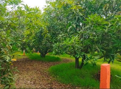 Others image of 800.0 Sq.ft   Commercial Plot for sale in Avadi for 2000000