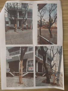 Others image of 550.0 Sq.ft  Ready to use Office Space for rent in Vijay Nagar for 10000