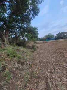 Commercial Plot