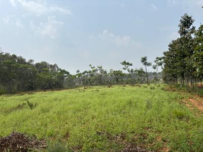 Others image of 100118.0 Sq.ft   Commercial Plot for sale in Peresandra for 15000000