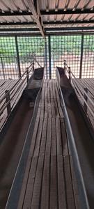 Others image of 2400.0 Sq.ft   Commercial Property for rent in Yelachanayakanapura for 20000