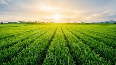 Others image of 300000.0 Sq.ft   Commercial Plot for sale in Ansal Town for 75000000