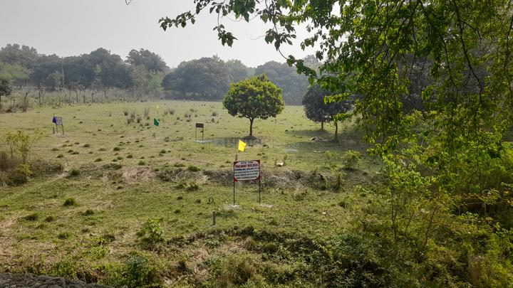 Others image of 1361.0 Sq.ft   Commercial Plot for sale in Sonepur for 2000000