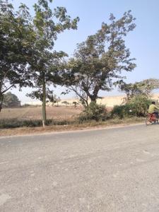 Commercial Plot