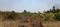 Others image of 24000.0 Sq.ft   Warehouse for rent in Ramanagara for 100000