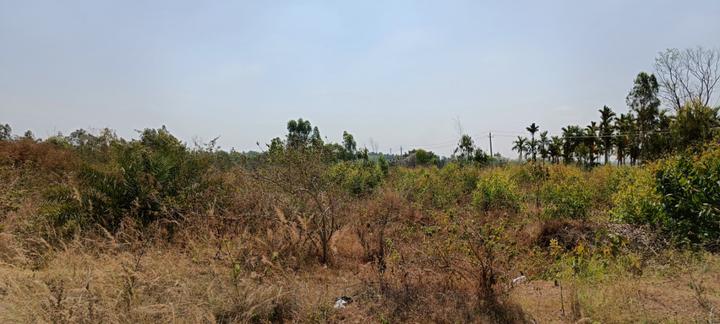 Others image of 24000.0 Sq.ft   Warehouse for rent in Ramanagara for 100000