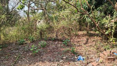 Others image of 10000.0 Sq.ft   Commercial Plot for rent in Kihim for 10000