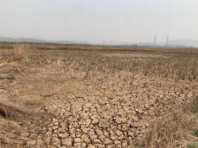 Others image of 10000.0 Sq.ft   Commercial Plot for sale in Belondakhar for 3990000