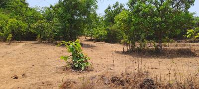 Others image of 55386.0 Sq.ft   Commercial Plot for sale in Rohidas Nagar for 3500000