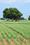 Others image of 9183.0 Sq.ft   Commercial Plot for sale in Madurai Main for 100000