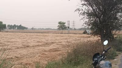 Others image of 50000.0 Sq.ft   Commercial Plot for sale in Dankaur for 22000000