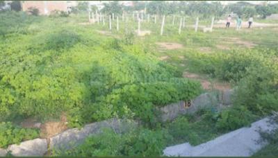 Commercial Plot