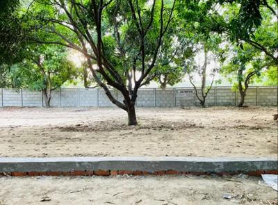 Others image of 1000.0 Sq.ft   Commercial Plot for sale in Gosainganj for 3000000