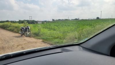 Others image of 42000.0 Sq.ft   Commercial Plot for rent in Khushkhera for 25000