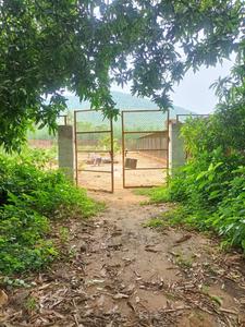 Entrance image of 12400.0 Sq.ft   Warehouse for rent in Pendurthi for 20000