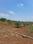 Others image of 605.0 Sq.ft   Commercial Plot for sale in Narayankhed for 700000