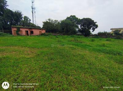 Commercial Plot
