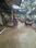 Others image of 250.0 Sq.ft pre-leased  Shop for sale in Ghansoli for 13500000