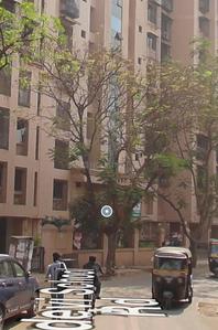 Others image of 2147.0 Sq.ft   Showroom for rent in Andheri West for 751450