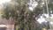 Others image of 20000.0 Sq.ft pre-leased  Commercial Property for sale in Ambattur for 180000000