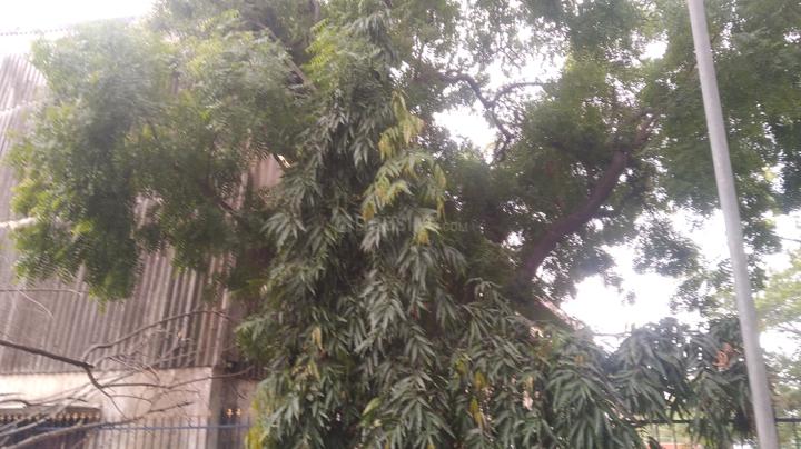 Others image of 20000.0 Sq.ft pre-leased  Commercial Property for sale in Ambattur for 180000000