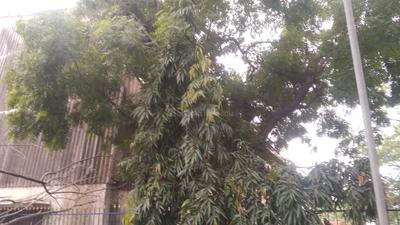 Others image of 20000.0 Sq.ft pre-leased Commercial Property for sale in Ambattur for 180000000