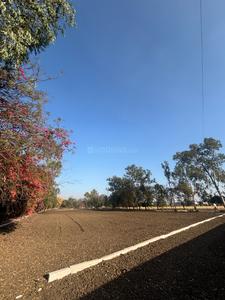 Others image of 10000.0 Sq.ft   Commercial Plot for rent in Umrikheda for 500000