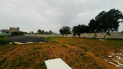 Commercial Plot