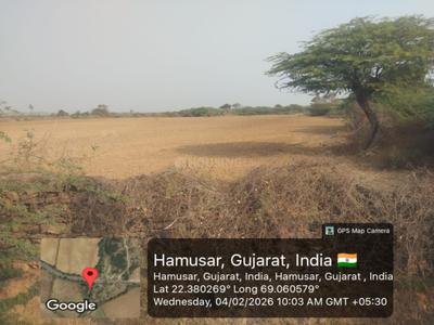 Commercial Plot