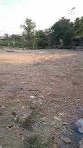 Commercial Plot