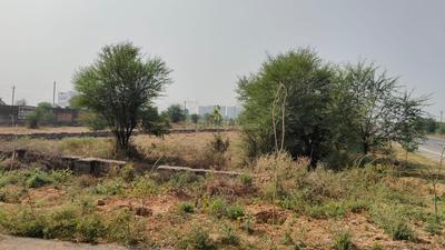 Commercial Plot
