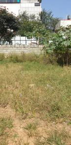 Others image of 10000.0 Sq.ft   Commercial Plot for sale in Brookefield for 200000000