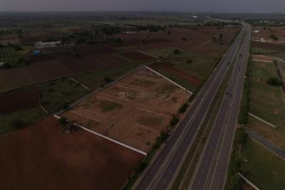 Commercial Plot