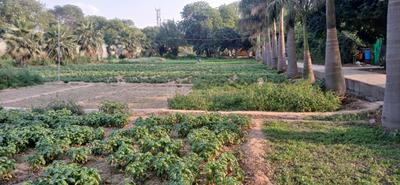 Commercial Plot