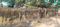 Others image of 2400.0 Sq.ft   Warehouse for rent in Nadukuthagai for 25000