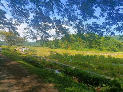 Others image of 10000.0 Sq.ft Commercial Plot for sale in Sonapur for 2500000