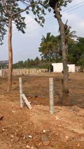 Commercial Plot